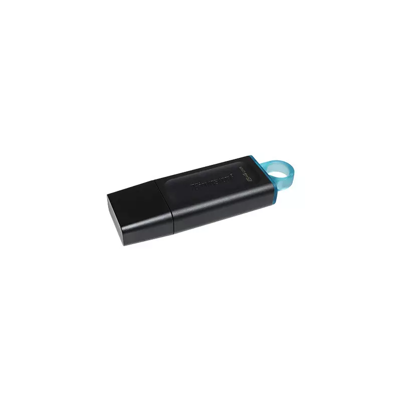 Clé USB Kingston DTX 64 Go USB 3.2 Gen 1 disque U haute vitesse petit et  portable disque U avec capuchon de protection porte-clés - Cdiscount  Informatique