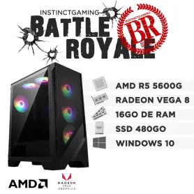 PC Gamer BATTLE ROYALE Ryzen 5 5600G 16Go SSD 500Go AMD Radeon W11